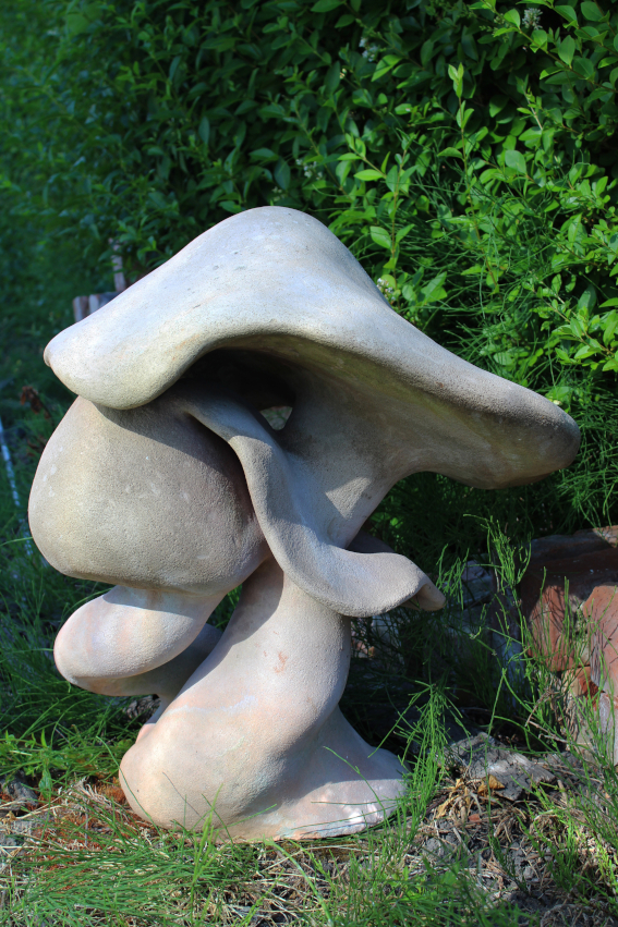 Mushroom
