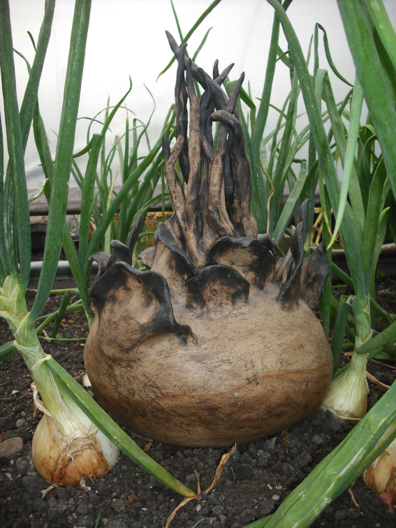 Sprouting Form